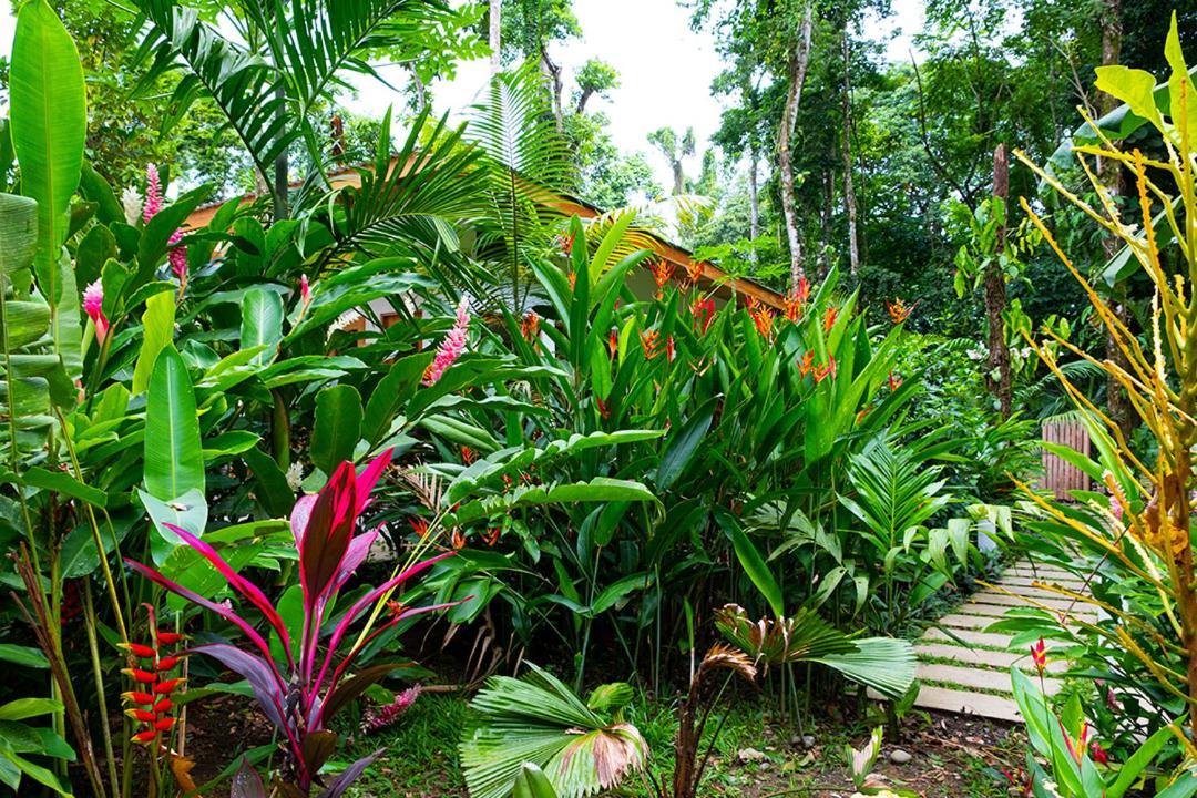 Puerto Viejo de Talamanca La Paz Del Caribe Adults Only B&B 외부 사진