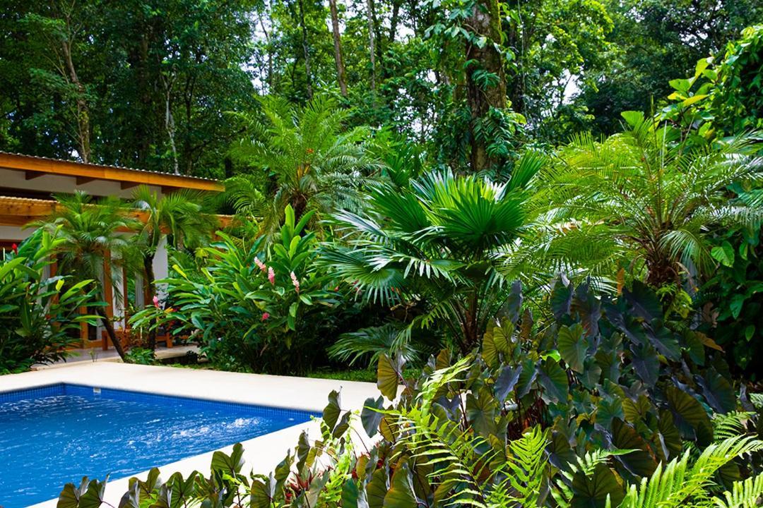 Puerto Viejo de Talamanca La Paz Del Caribe Adults Only B&B 외부 사진