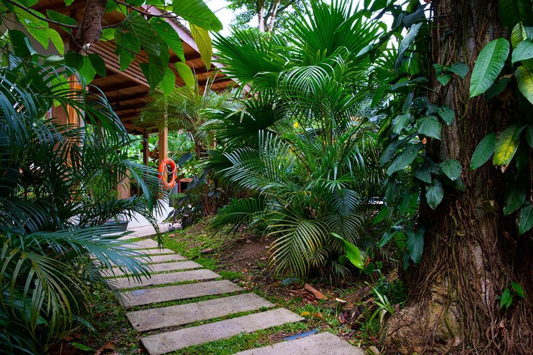 Puerto Viejo de Talamanca La Paz Del Caribe Adults Only B&B 외부 사진
