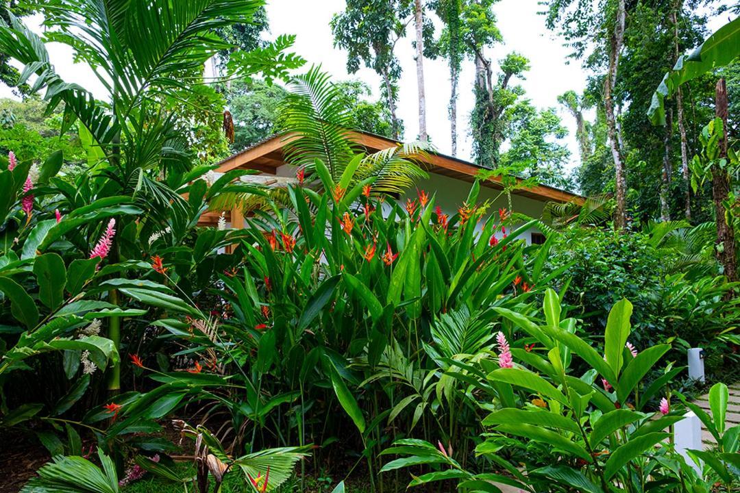 Puerto Viejo de Talamanca La Paz Del Caribe Adults Only B&B 외부 사진