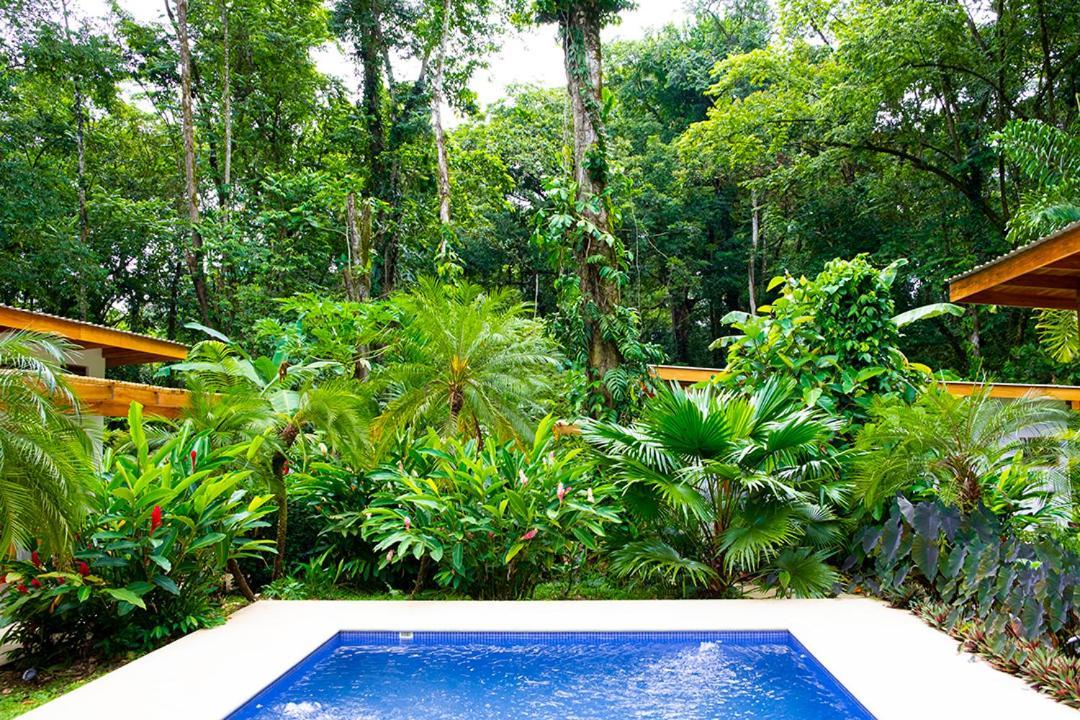 Puerto Viejo de Talamanca La Paz Del Caribe Adults Only B&B 외부 사진