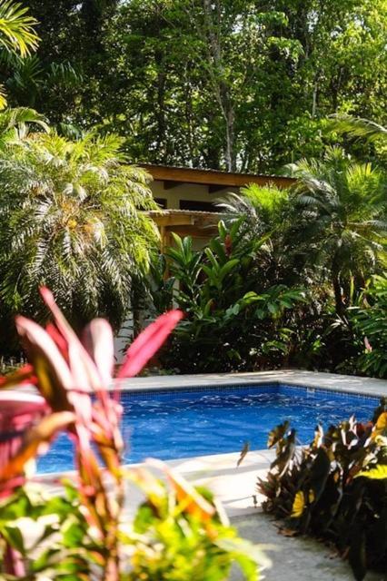 Puerto Viejo de Talamanca La Paz Del Caribe Adults Only B&B 외부 사진