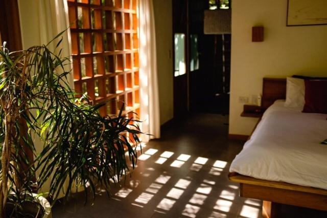 Puerto Viejo de Talamanca La Paz Del Caribe Adults Only B&B 외부 사진