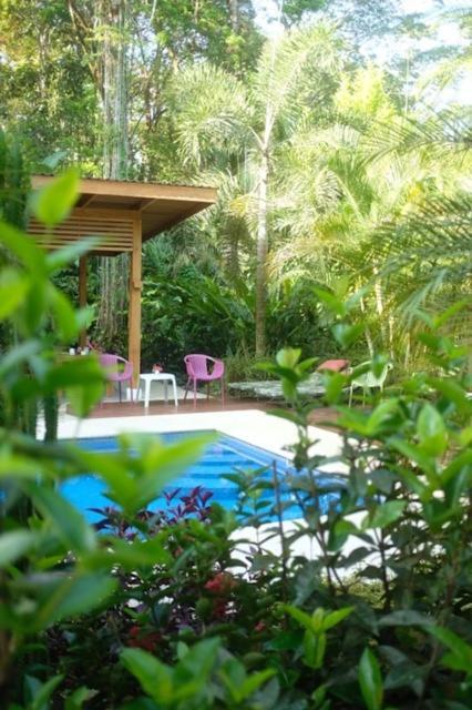 Puerto Viejo de Talamanca La Paz Del Caribe Adults Only B&B 외부 사진