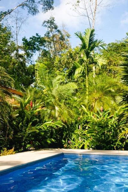 Puerto Viejo de Talamanca La Paz Del Caribe Adults Only B&B 외부 사진