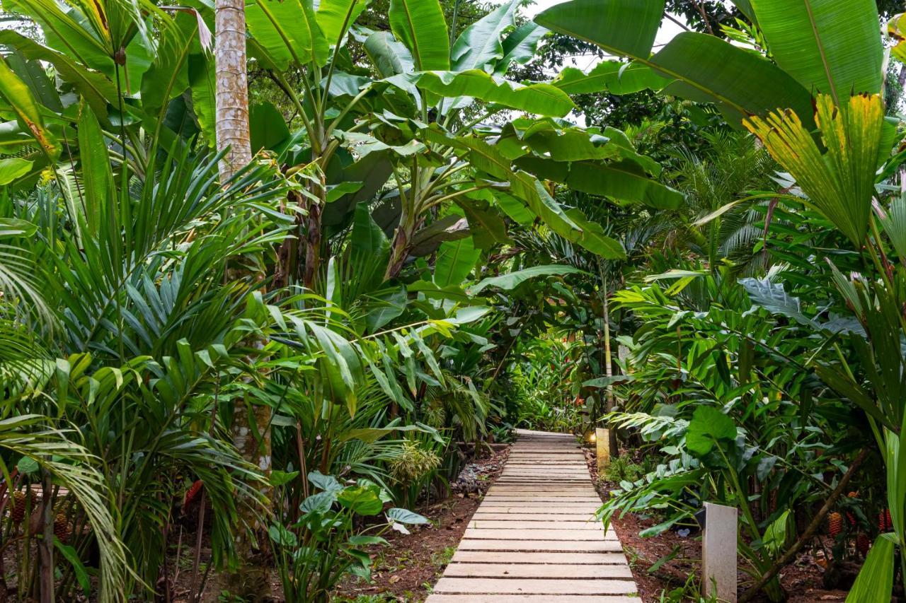 Puerto Viejo de Talamanca La Paz Del Caribe Adults Only B&B 외부 사진