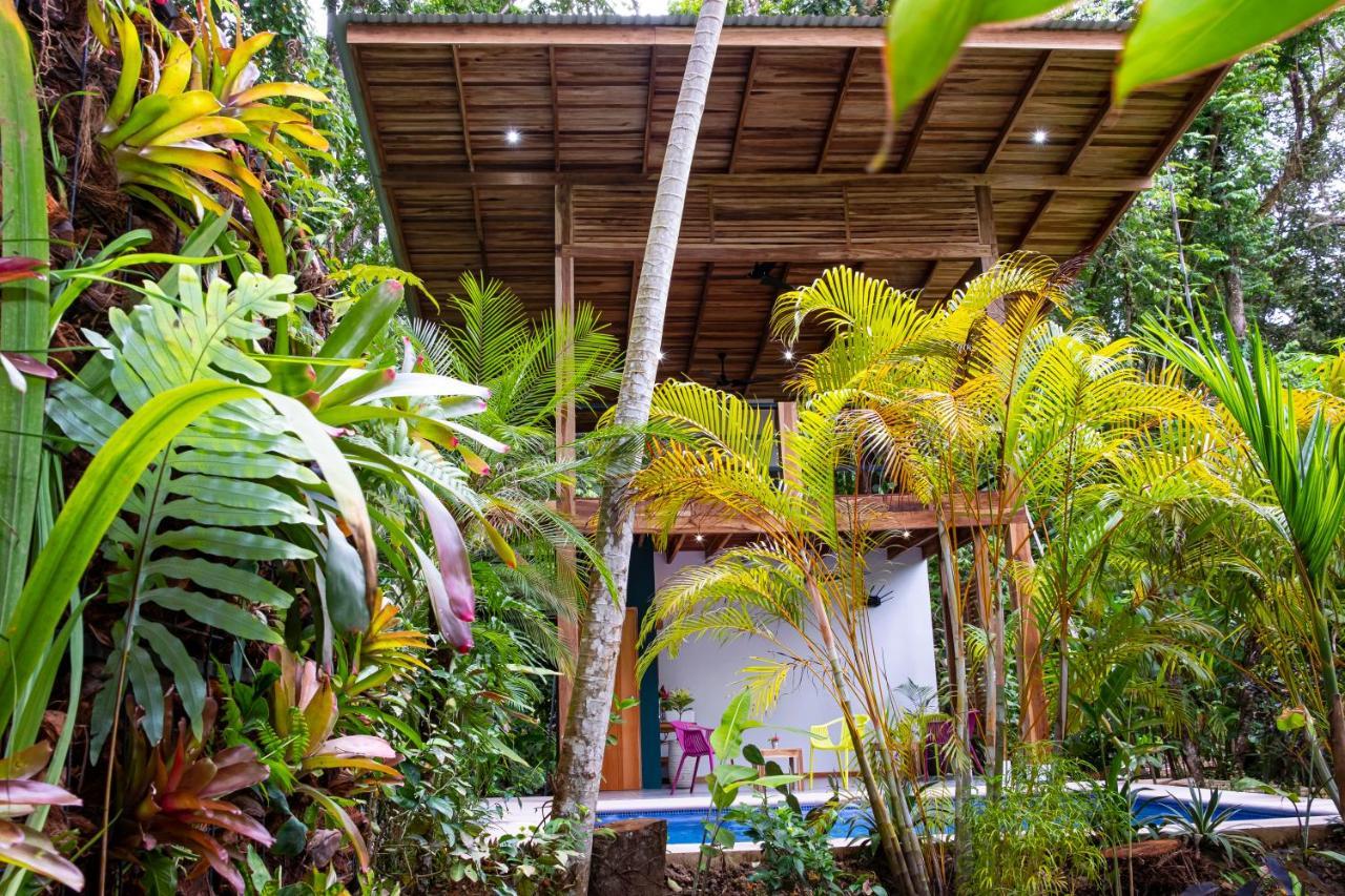 Puerto Viejo de Talamanca La Paz Del Caribe Adults Only B&B 외부 사진