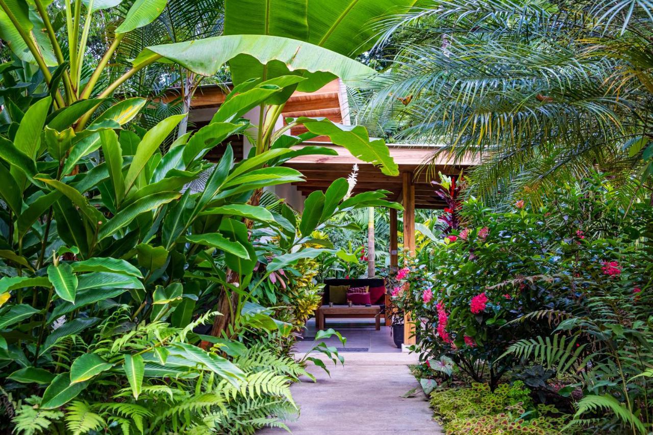 Puerto Viejo de Talamanca La Paz Del Caribe Adults Only B&B 외부 사진