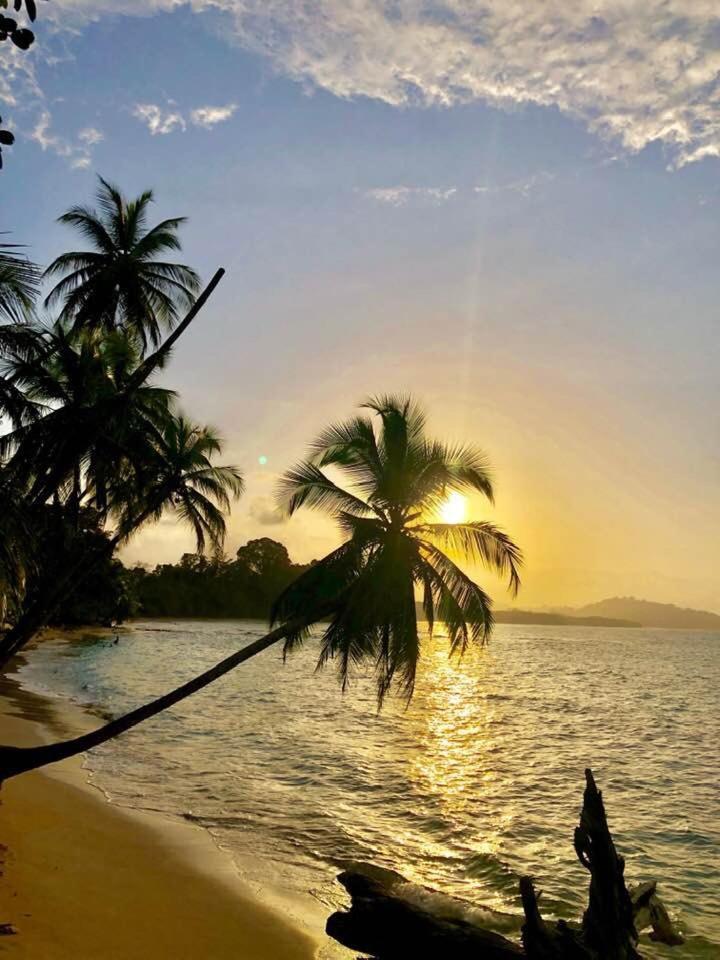 Puerto Viejo de Talamanca La Paz Del Caribe Adults Only B&B 외부 사진